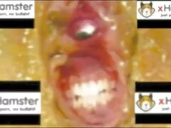 肛門ツバメその後弄とともに彼女の恋人は熱いです兼slut 女 マッサージ エロ