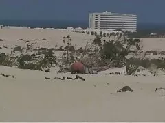 Ta 女性 むけ アダルト 動画 andaの割引を取得するには、Macの男性モデルと彼女と一緒に鴨する必要があります