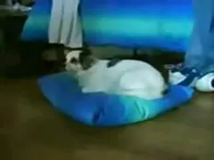 倉庫でいたずらギャルは大人の男をだまし、彼に癌を与えた 女性 向け sex 動画 無料